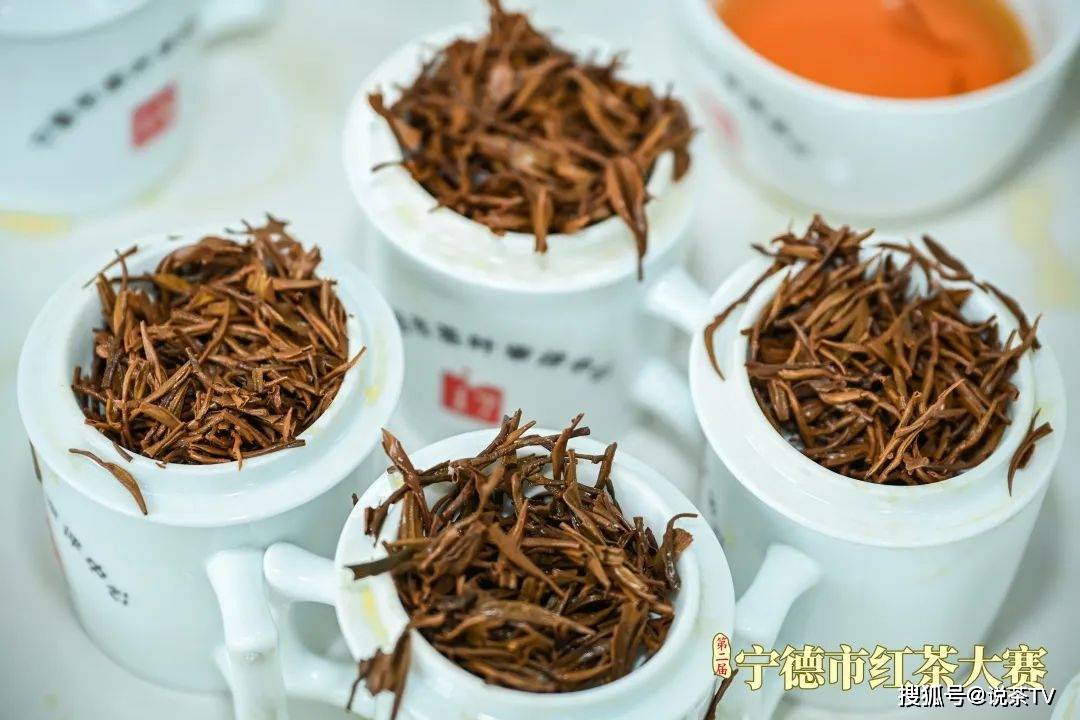 这场红茶大赛呈现闽东茶品质密码_宁德市_发展_茶叶