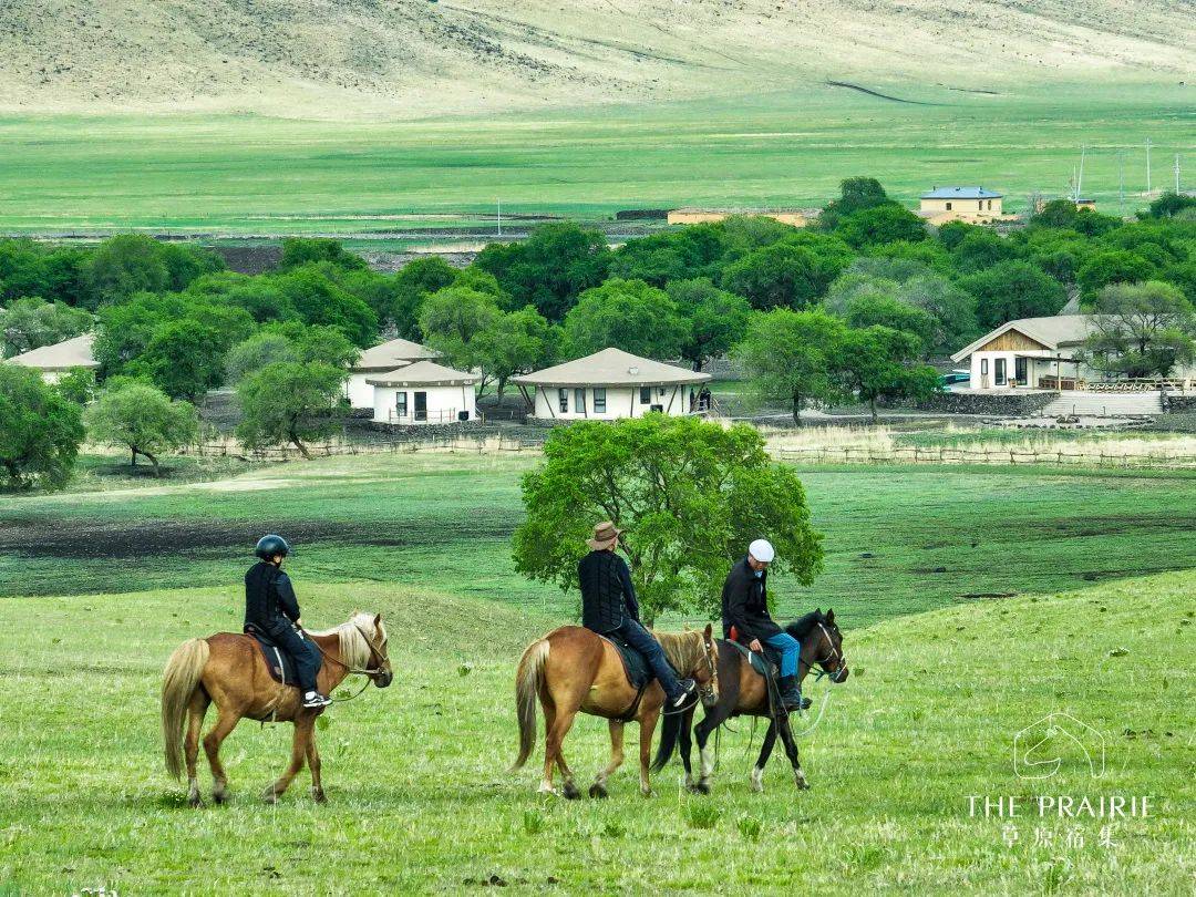 分享美好,是宿集和葡萄酒的默契苏龙夏桐(宁夏)酒庄有限公司总经理