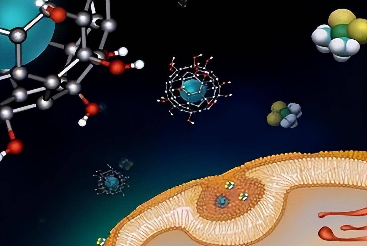 纳米技术在生物医学中有哪些应用?_进行_处理_治疗