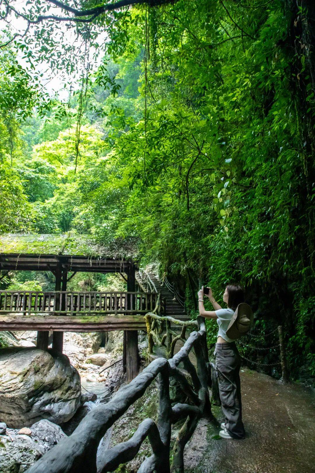 还可获得桃溪谷徒步定制奖牌景区免门票 1元午餐只要你敢来快来挑战