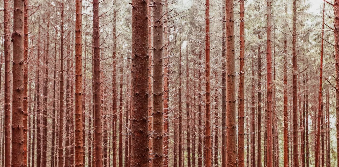原创
            横平竖直太基础？垂直式构图展示真技术！1