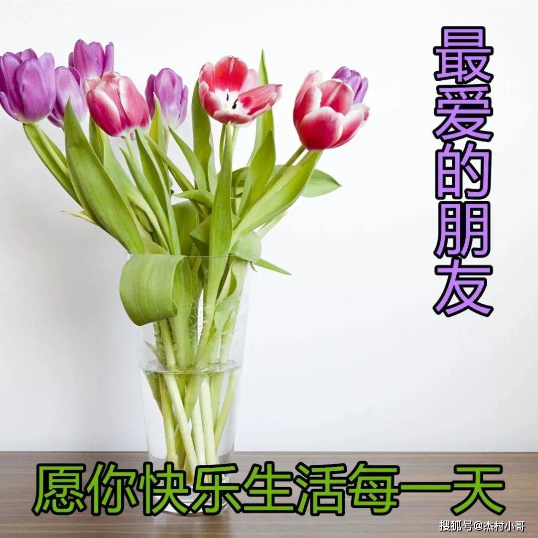 原创            超漂亮早上好表情图片带鲜花 2023最新版早上好动态表情图片-早上好鲜花动态表情