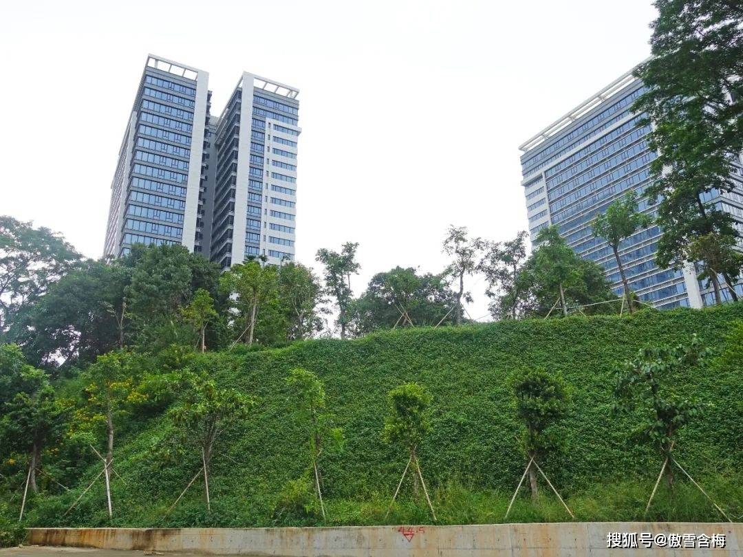 有限公司,属于典型的潮商出身,其董事长林少华还担任汕头侨商会会长