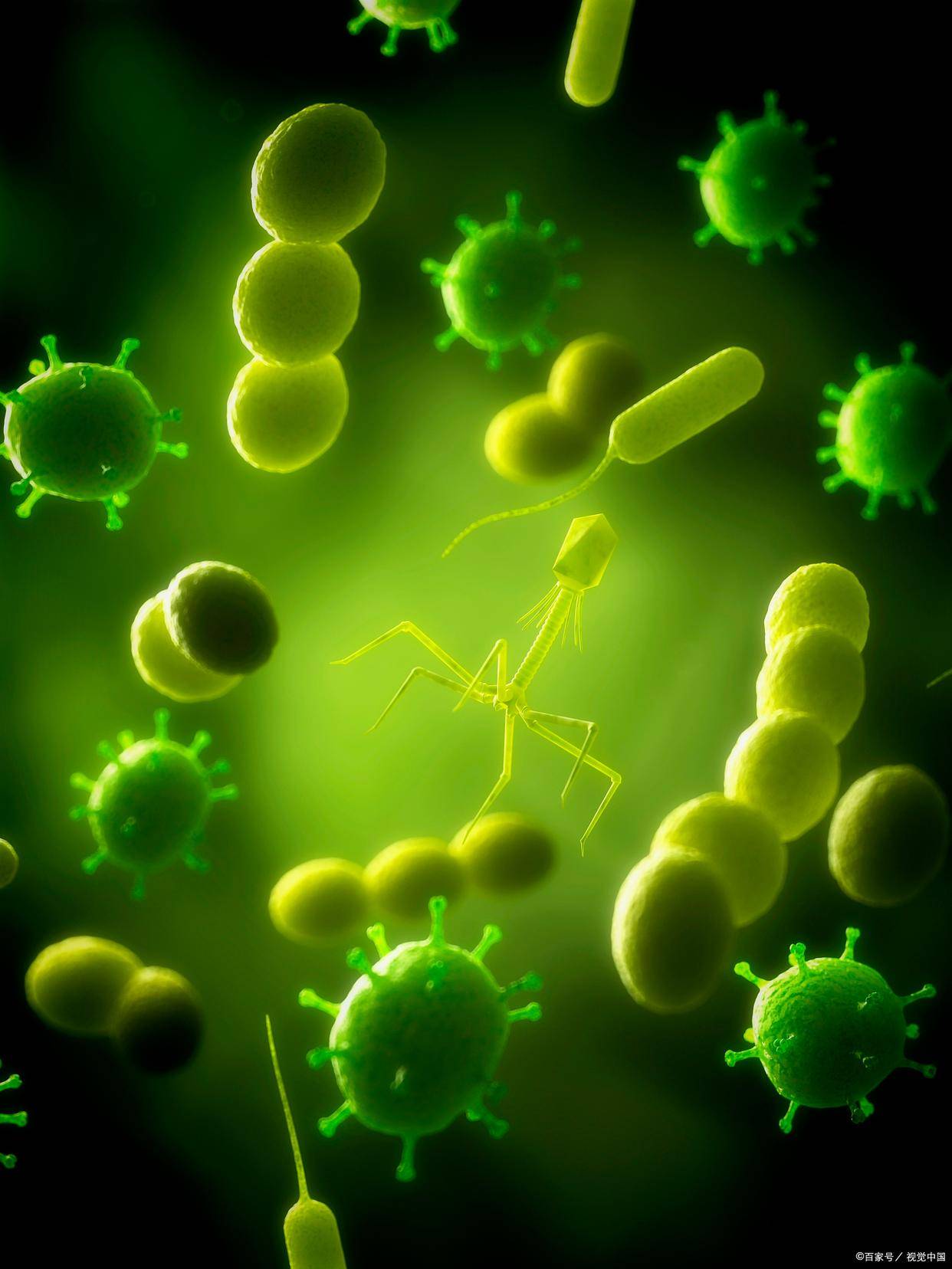 证书有什么用?_相关_工作_要求