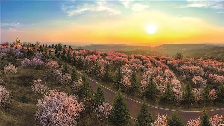 组图| 彭阳"印象山花"摄影大赛获奖作品出炉!_宁夏_二等奖_三等奖