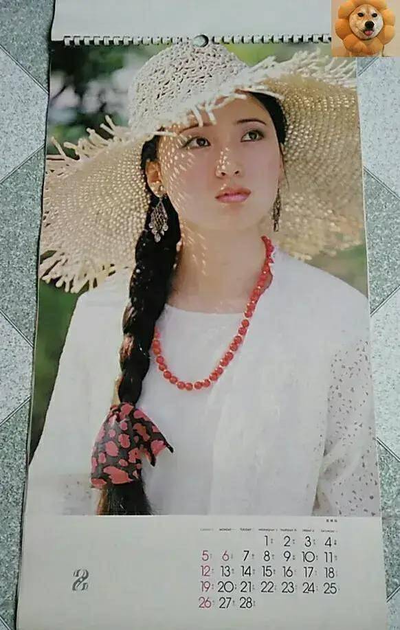 那些挂历上的明星们,简直不要太美_佳人_美人儿_宋佳