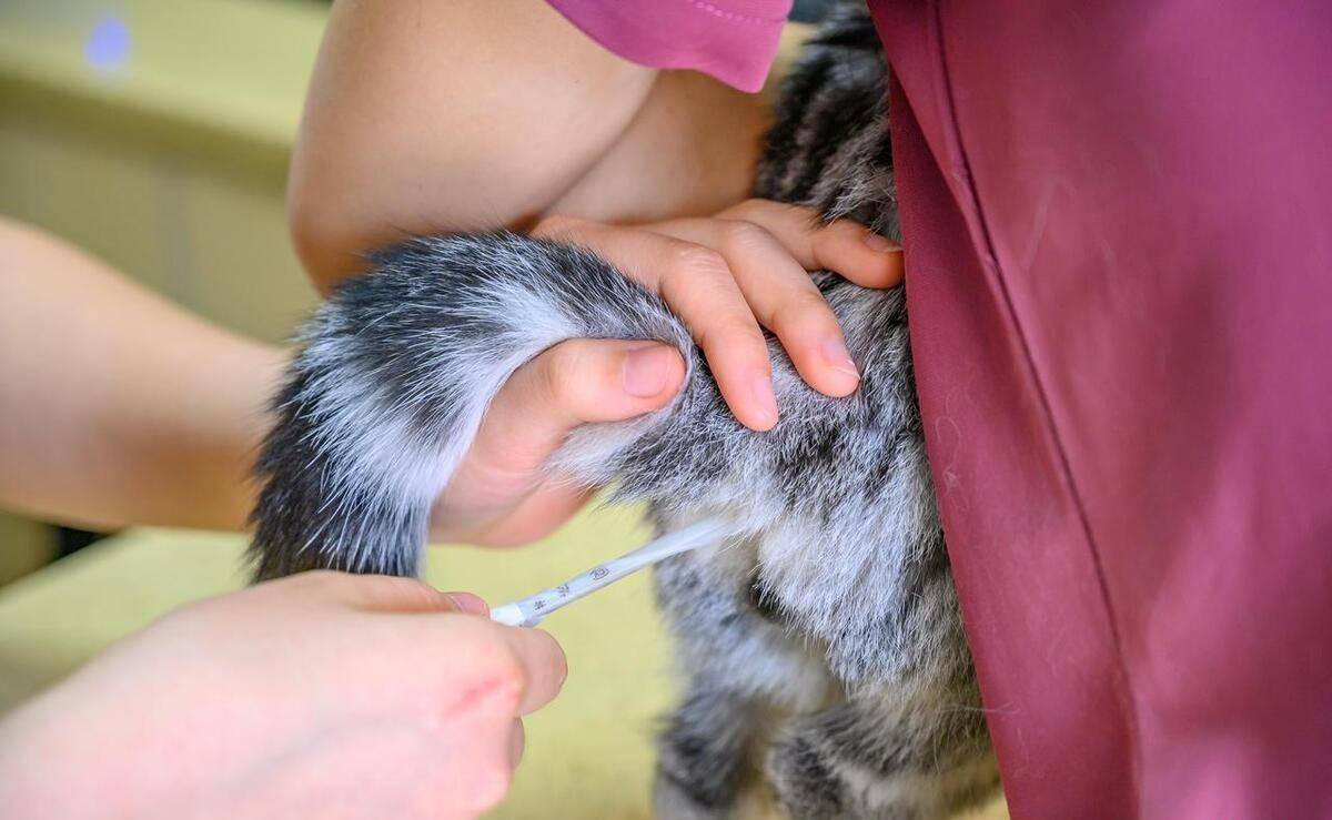 菊花保卫战-纪念我在肛肠科度过的日子(术前)_医生_屁股_感觉