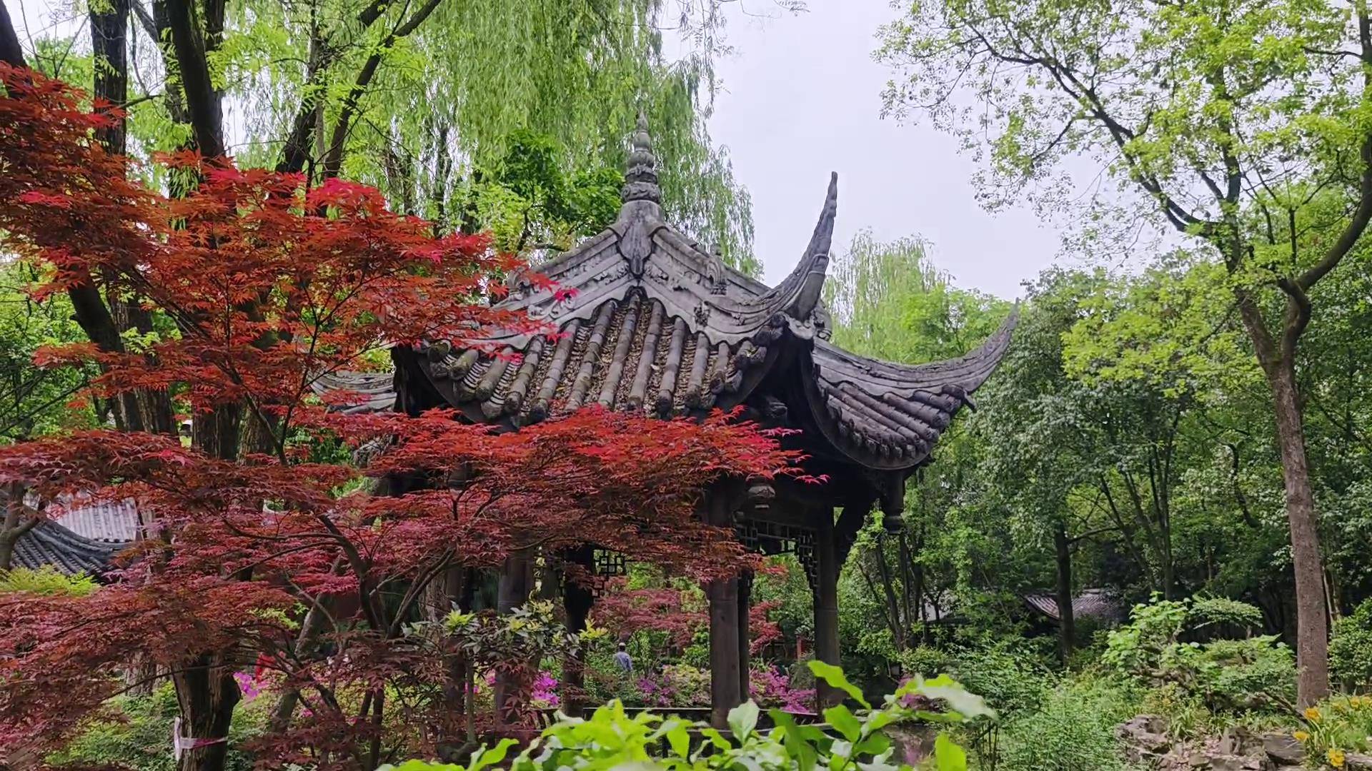 成都旅行:武侯祠看桃园结义;寻找丢失的自己_琵琶_地方_感觉