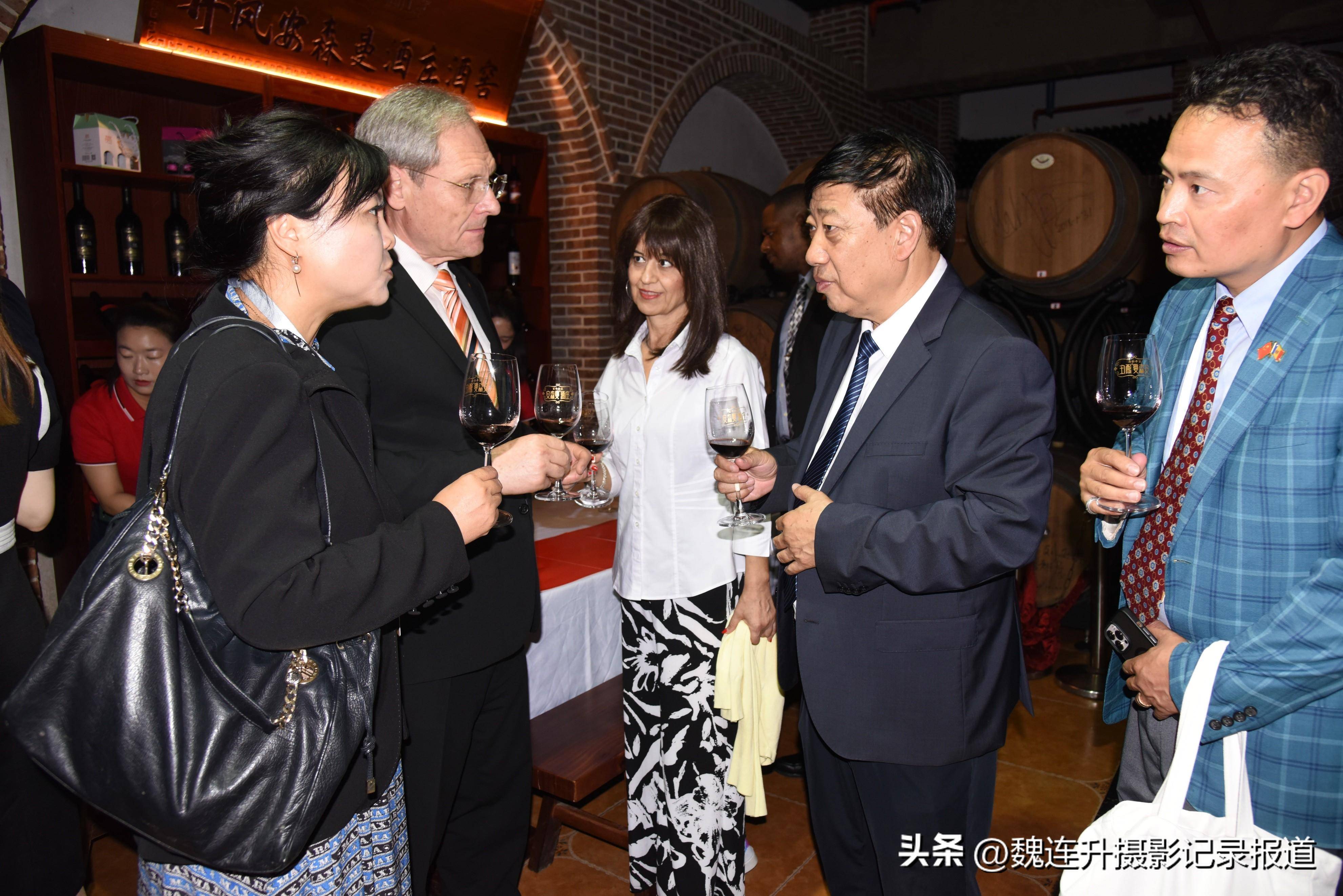 "秦岭红酒城·生态康养湾"陕西丹凤安森曼葡萄酒庄考察行_发展_品牌