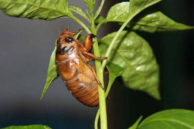 0614d1a8bf564dbd9a96739de3a51d