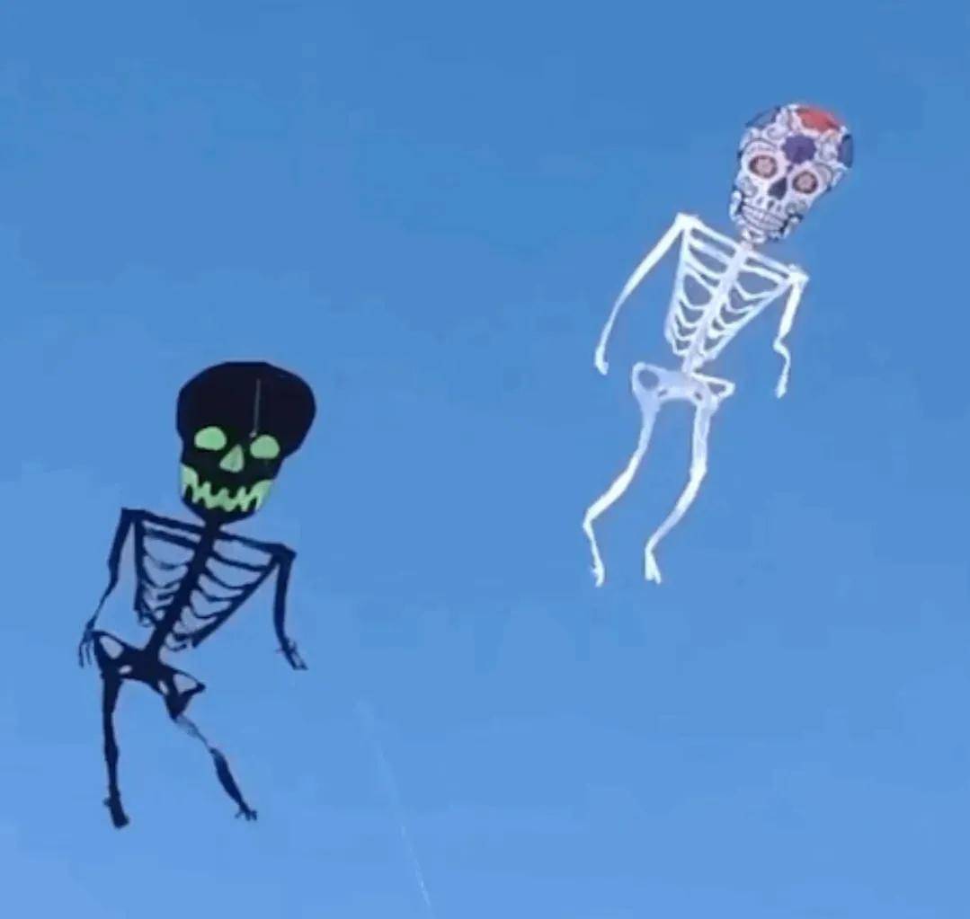 这些奇葩风筝,你见过吗?开眼啦_天空_太太_造型