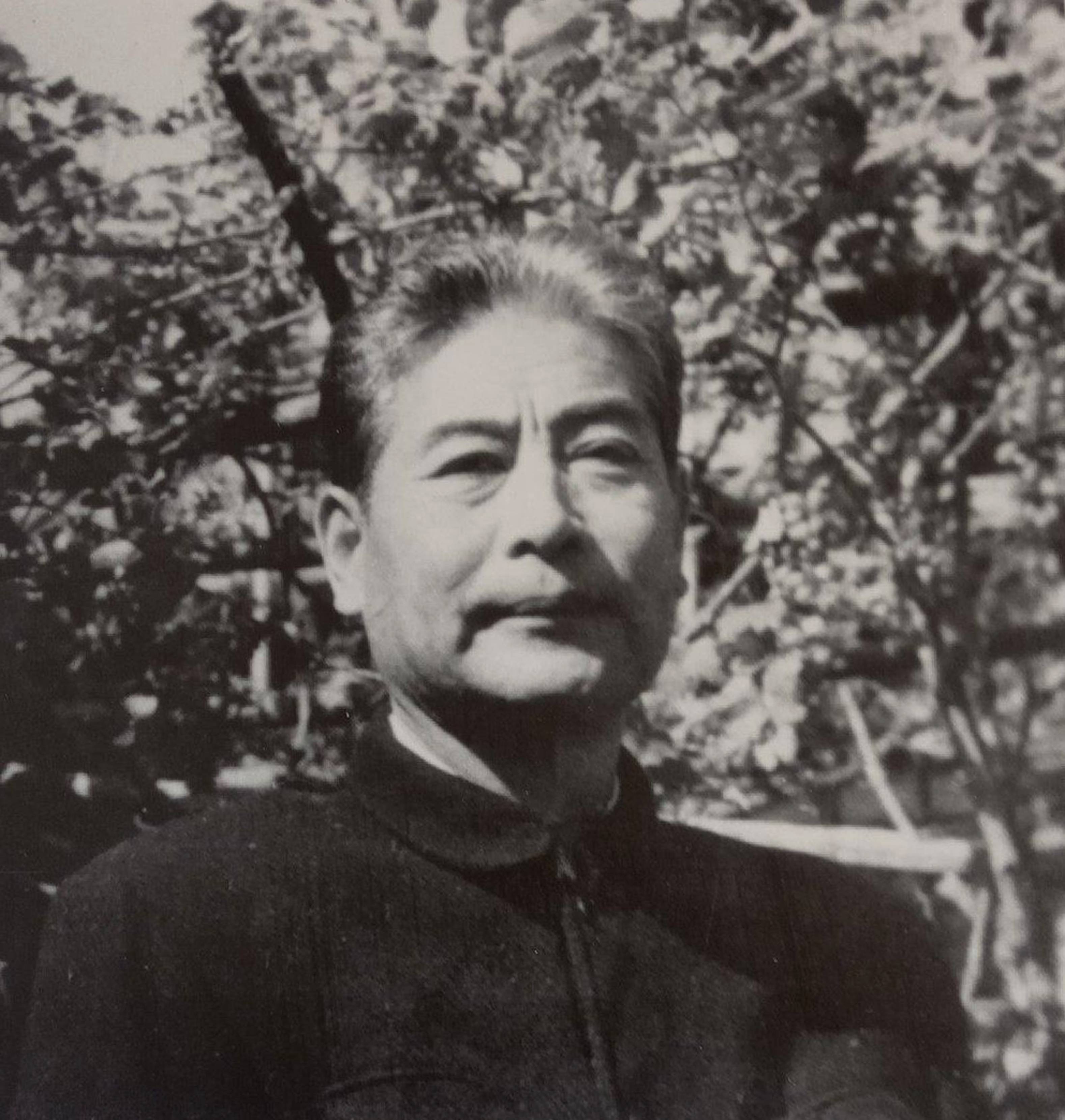 一位有着浓郁生活情趣的画家——郭味蕖中国近现代名家大红袍画集