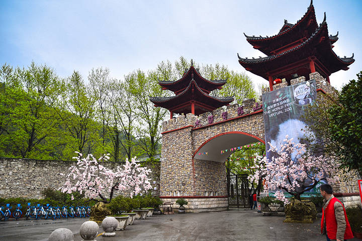 云雾山一日游图片