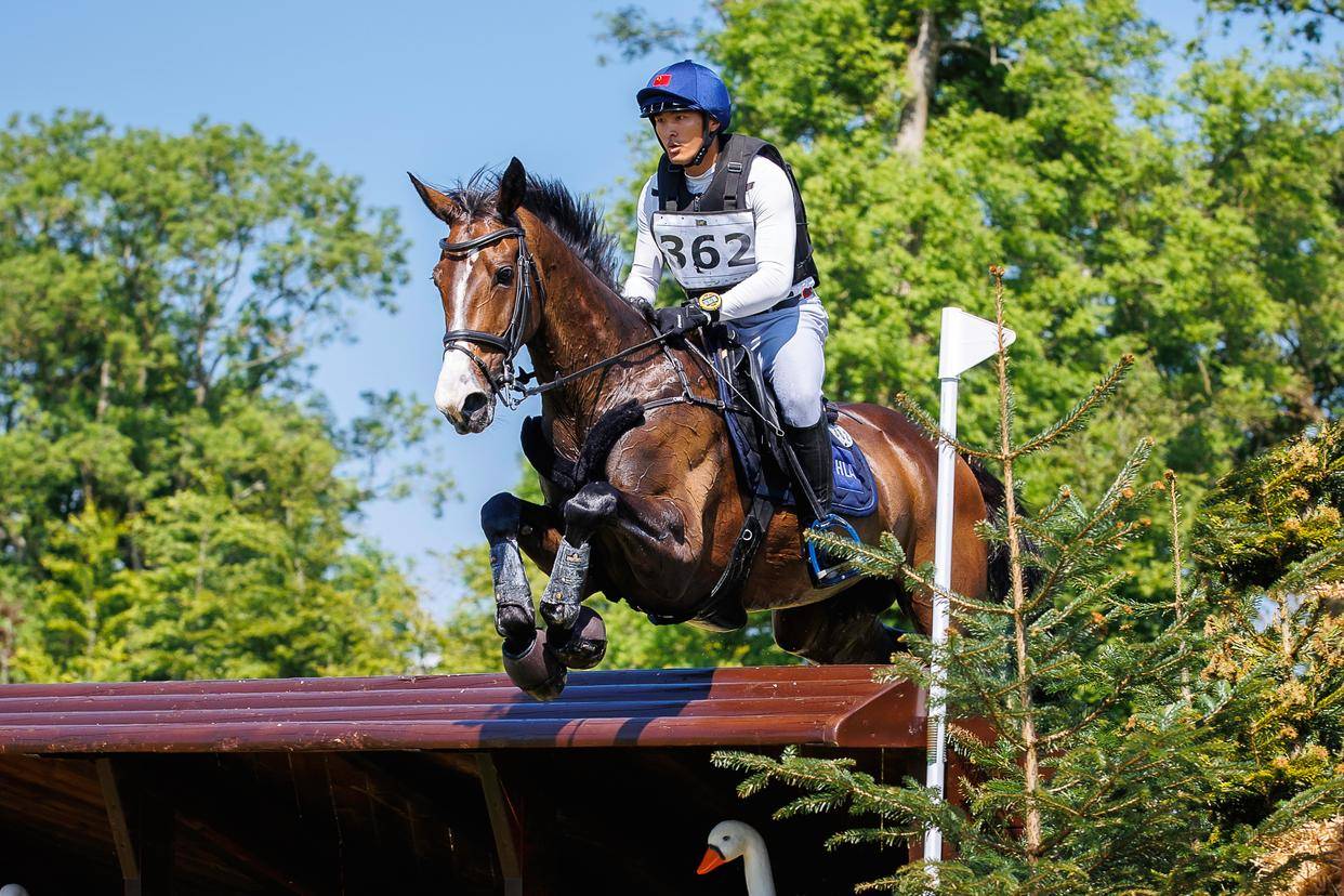 海澜马术骑手,双双挺进巴黎奥运会!_比赛_孙华东_英凤