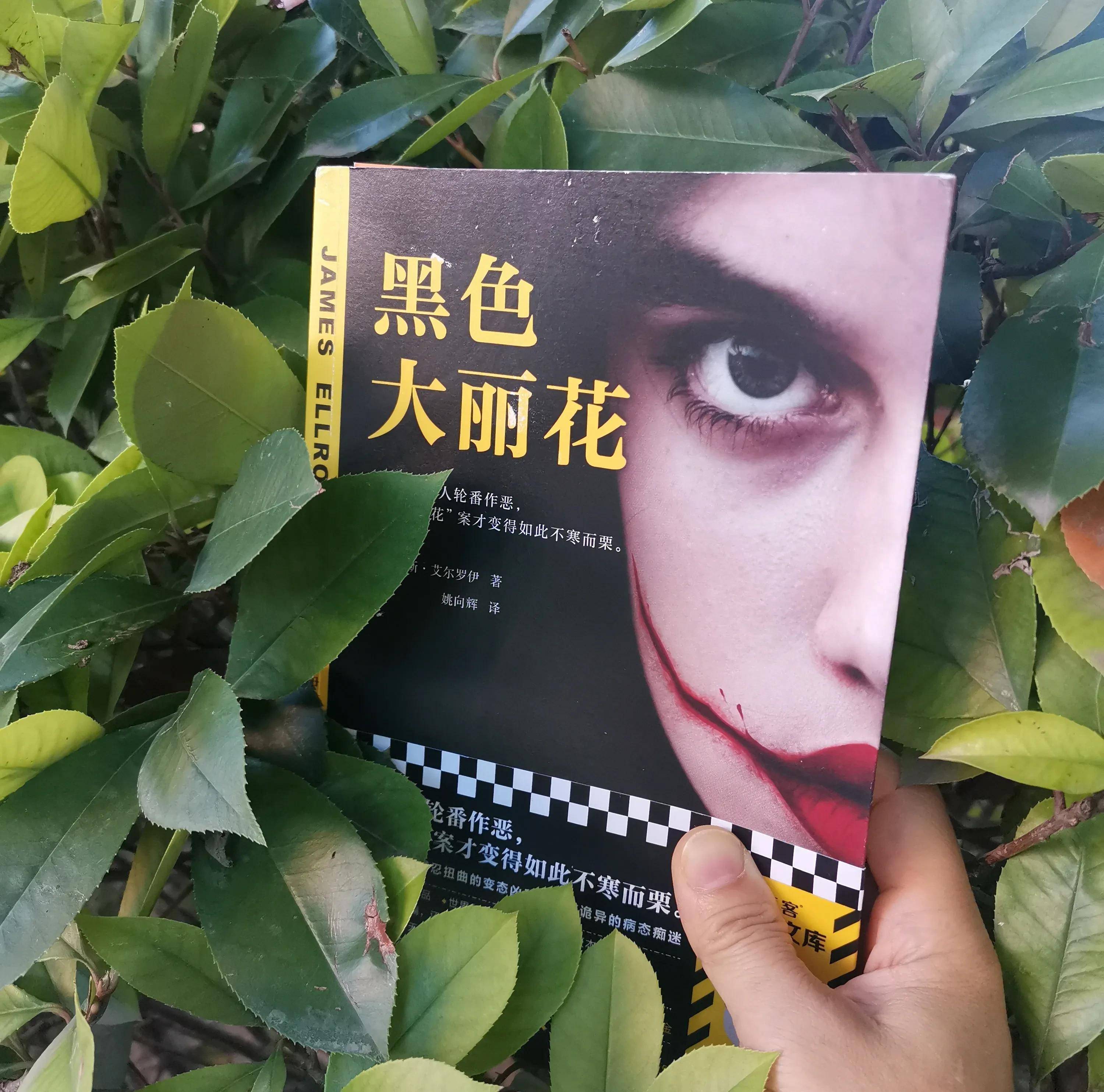 追蹤《黑色大麗花》,真相永遠比想象更可怕_埃米特_喬吉_小說