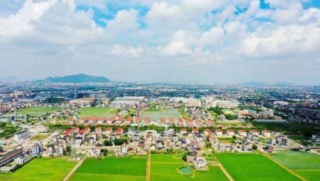 "数"说蝶变乡约"梅"好生活《共同富裕讲习所》访谈走进萧山_梅林村