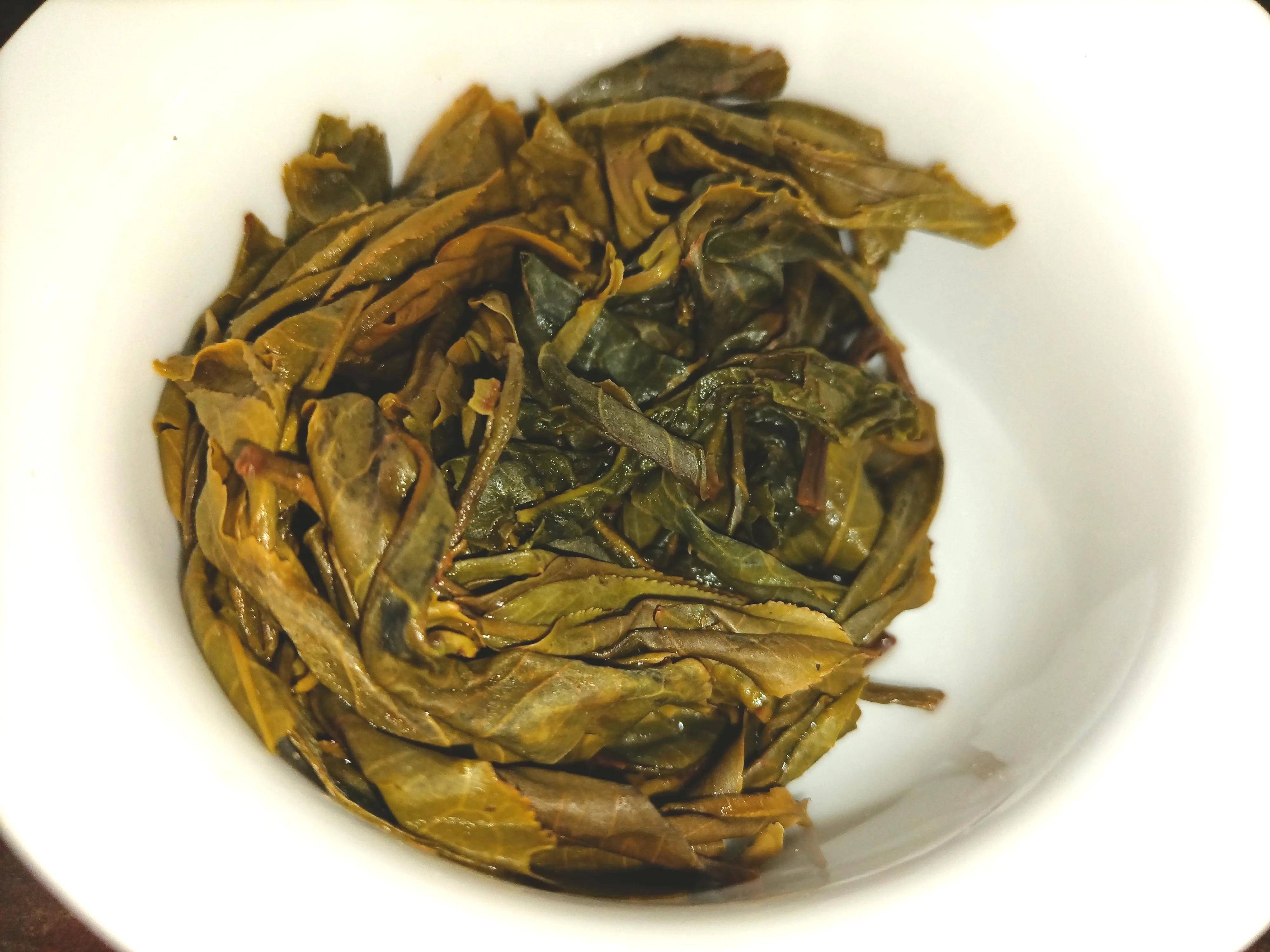 品鉴坝糯藤条茶_茶树_普洱_半山