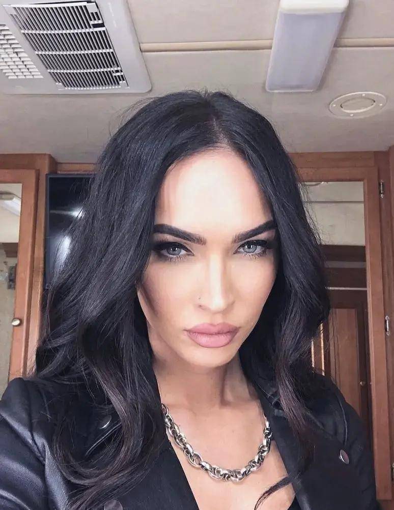 身材火辣,时尚迷人,"好莱坞最美花瓶"梅根·福克斯的影视之路_作品