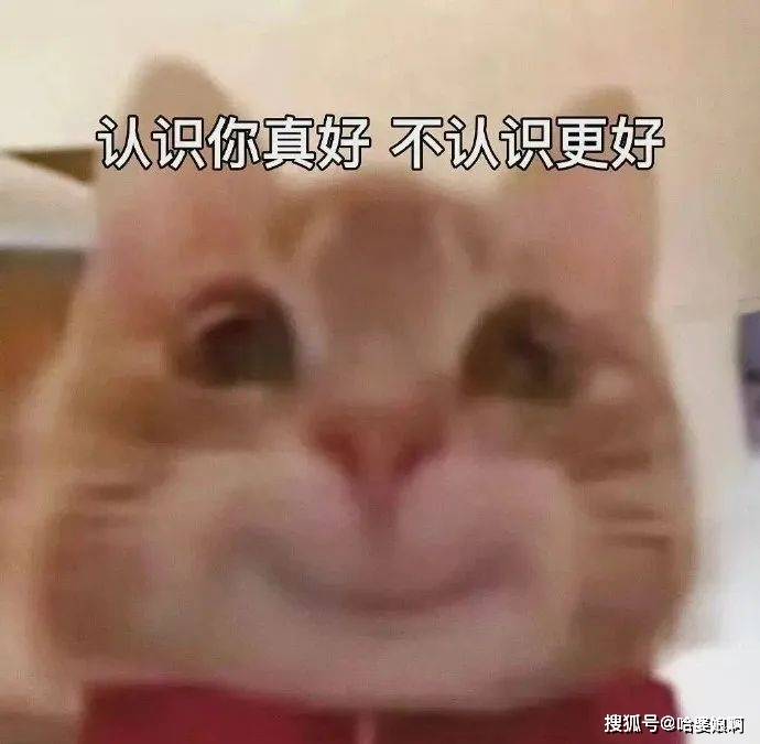 歪嘴小猫第二弹 363436373039文字表情包 676767
