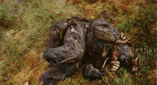 二战苏军的飞行员遗体,身处沼泽55年,被找到时尸身不腐_中士_飞机