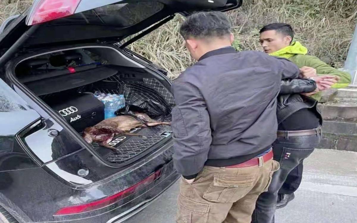 林麝_獐子_徐某