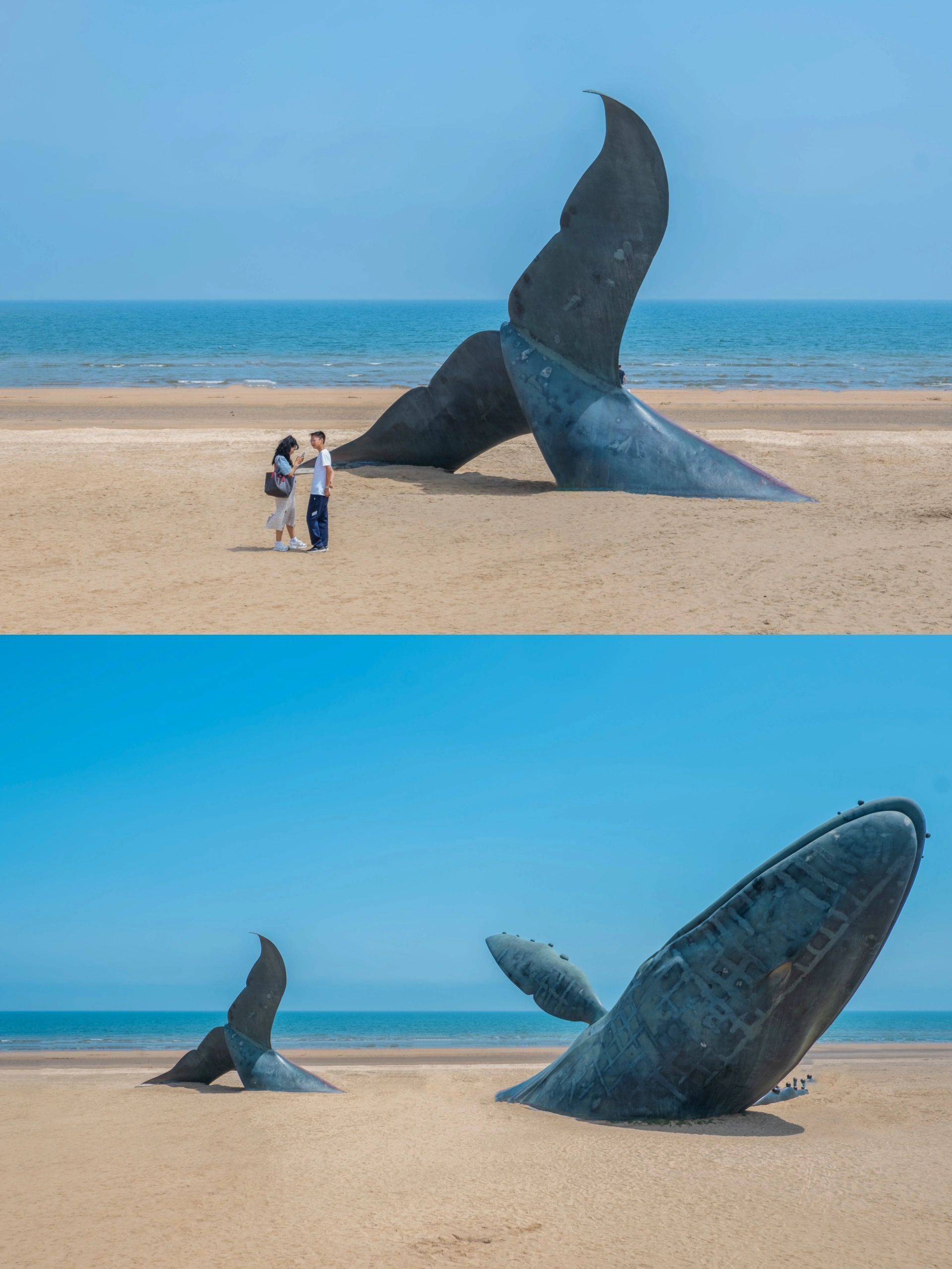 本以为青岛威海够美了,直到独自带娃来烟台_前往_鲸鱼_day
