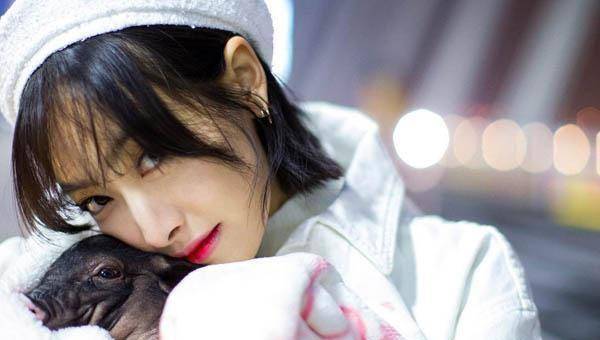 大型吃醋现场,宋茜带"猪"去米兰,宠物小八靠颜值躺赢_带着_造型_机场