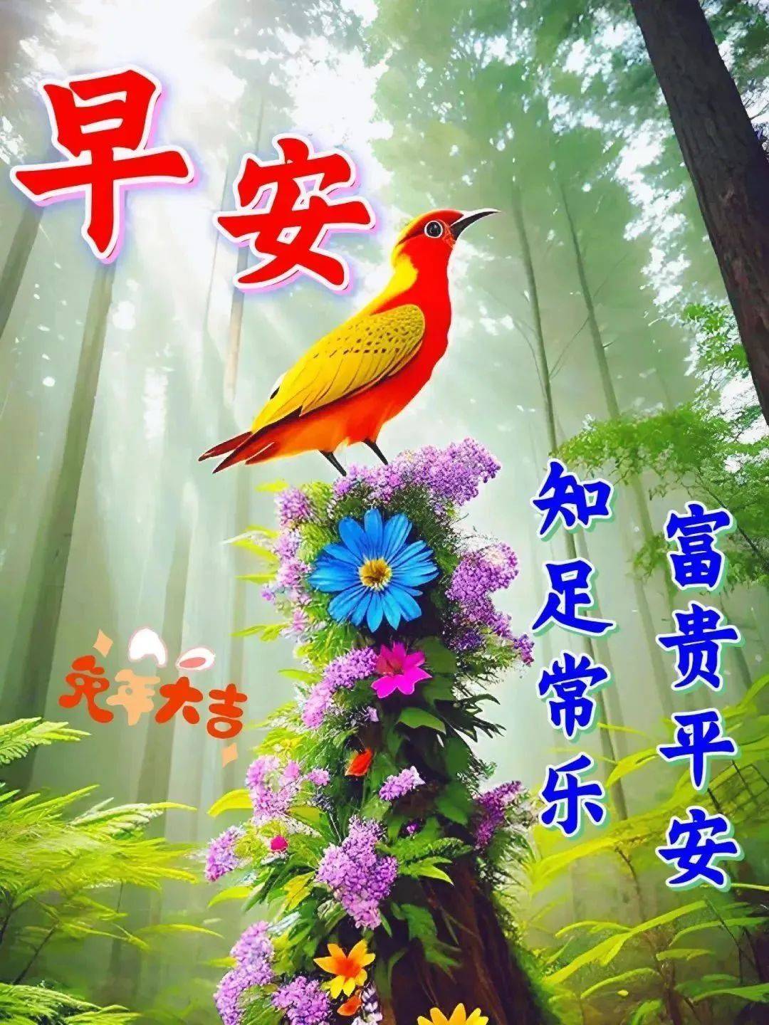 6月27日周二早上好,早安创意温馨祝福图片