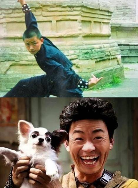 更何况就连王宝强自己学历也不是很高,从八岁开始,王宝强就在少林寺里