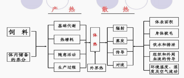 动物机体热平衡首先,畜禽遭受热应激后,生产性能会下降,比如采食量