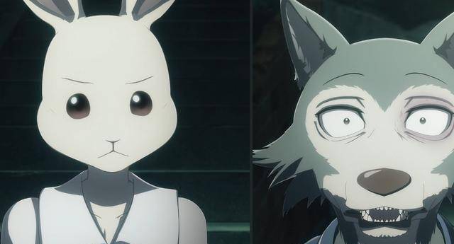 beastars:二次元败犬组的狼妹为什么赢不了真钢铁加鲁鲁雷格西_观众