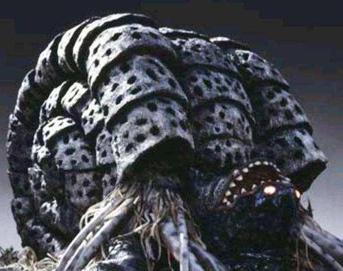 头像由袁晓超,伊卡尔斯,利特尔,戈麦斯,加玛库基拉,萨萨·茜拉,黑撒旦