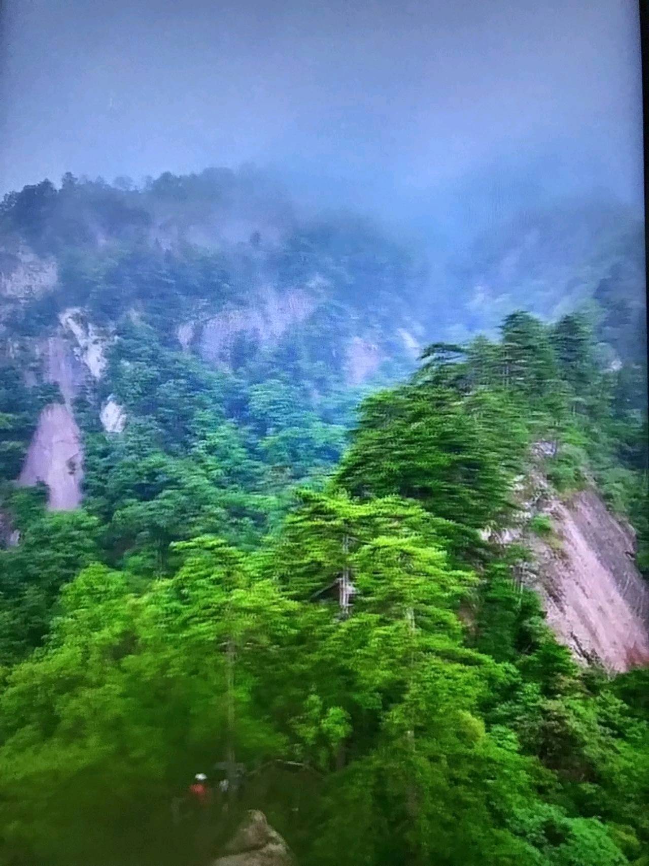 旅行社旅游部门老总大宝天曼度假区两日踩线活动圆满_南召_生态_峡谷