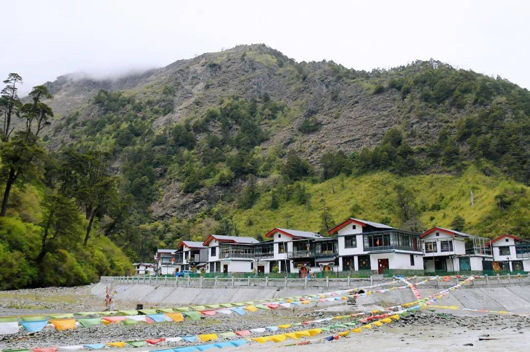 扎日乡_肖枫_夏天