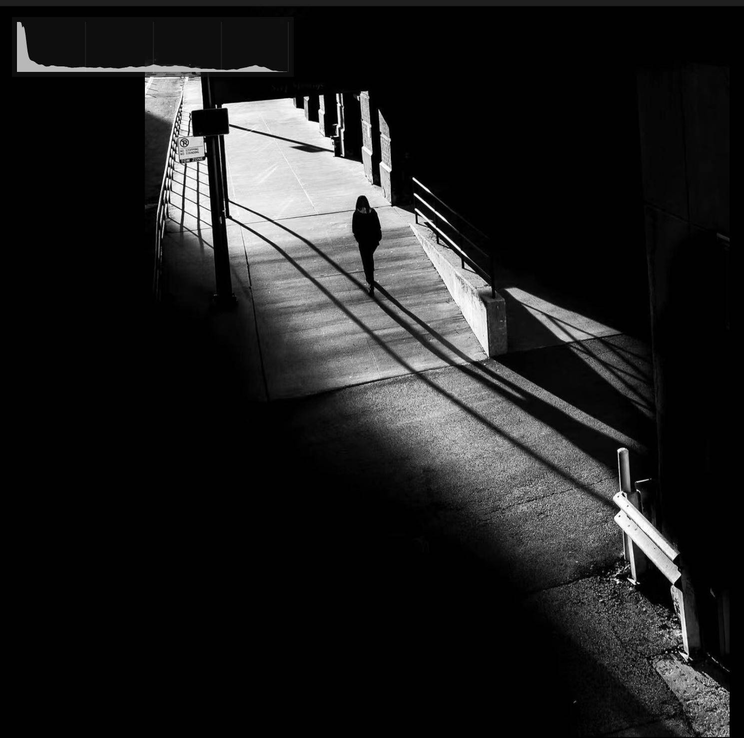 想要对摄影有更深的理解,一定要知道"十大影调"_照片_效果_直方图