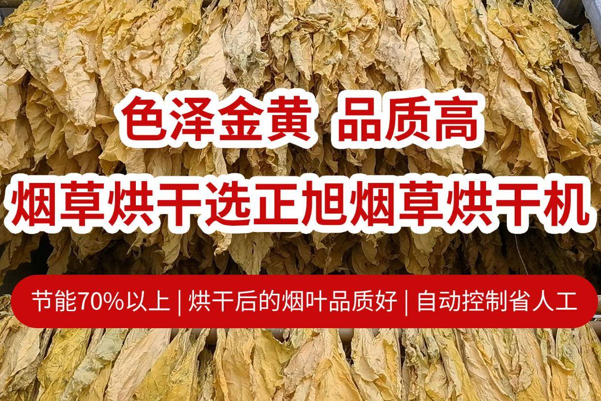 色泽鲜黄品质好,烟叶烘干首选正旭烟草烘干机