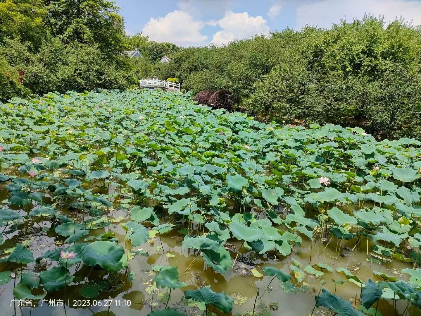 再上萝峰游_玉岩_公园_笔者