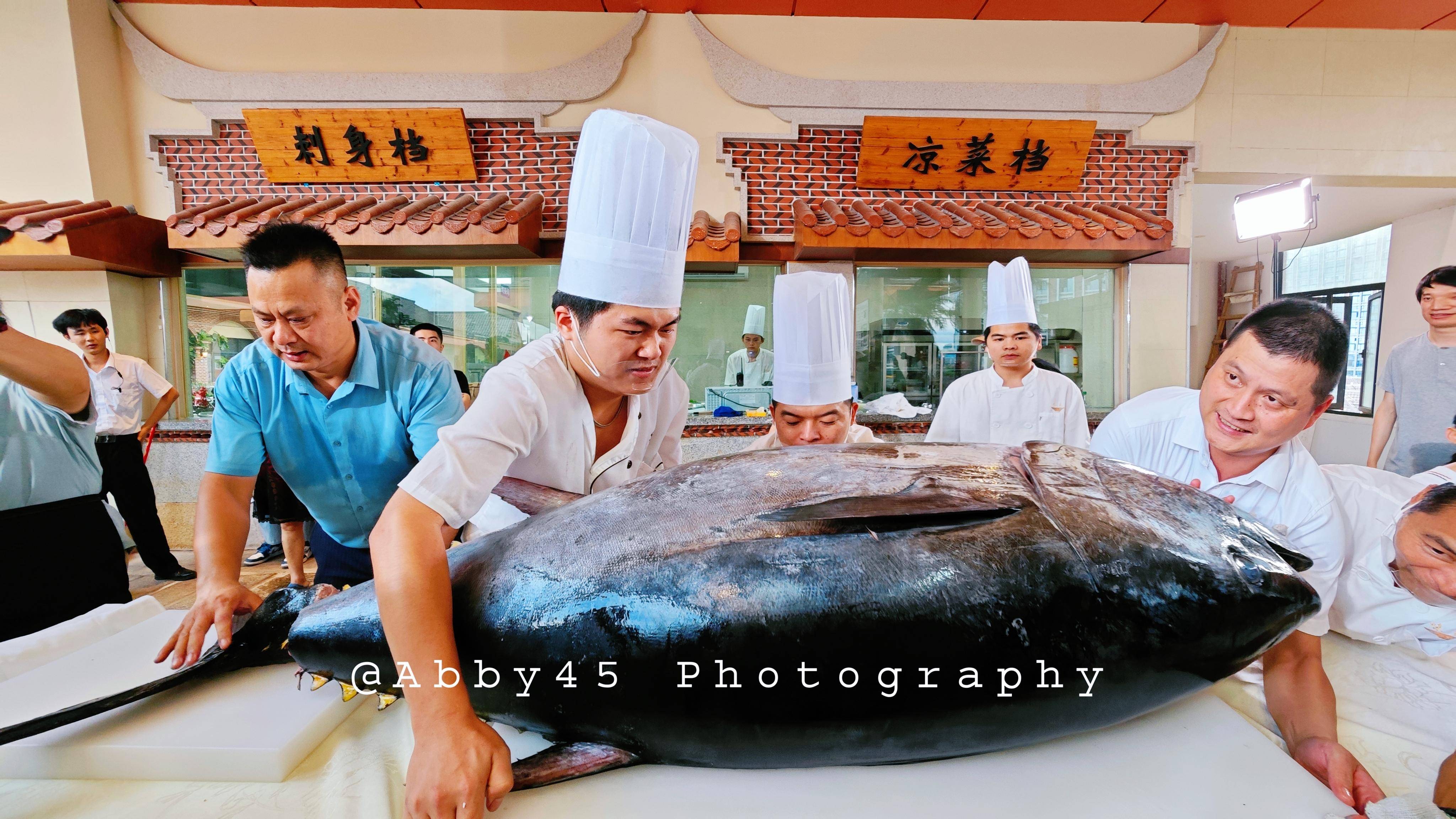 厦门味友30周年开鱼宴,巨型金枪鱼成主角,引爆味蕾狂欢_口感_包厢