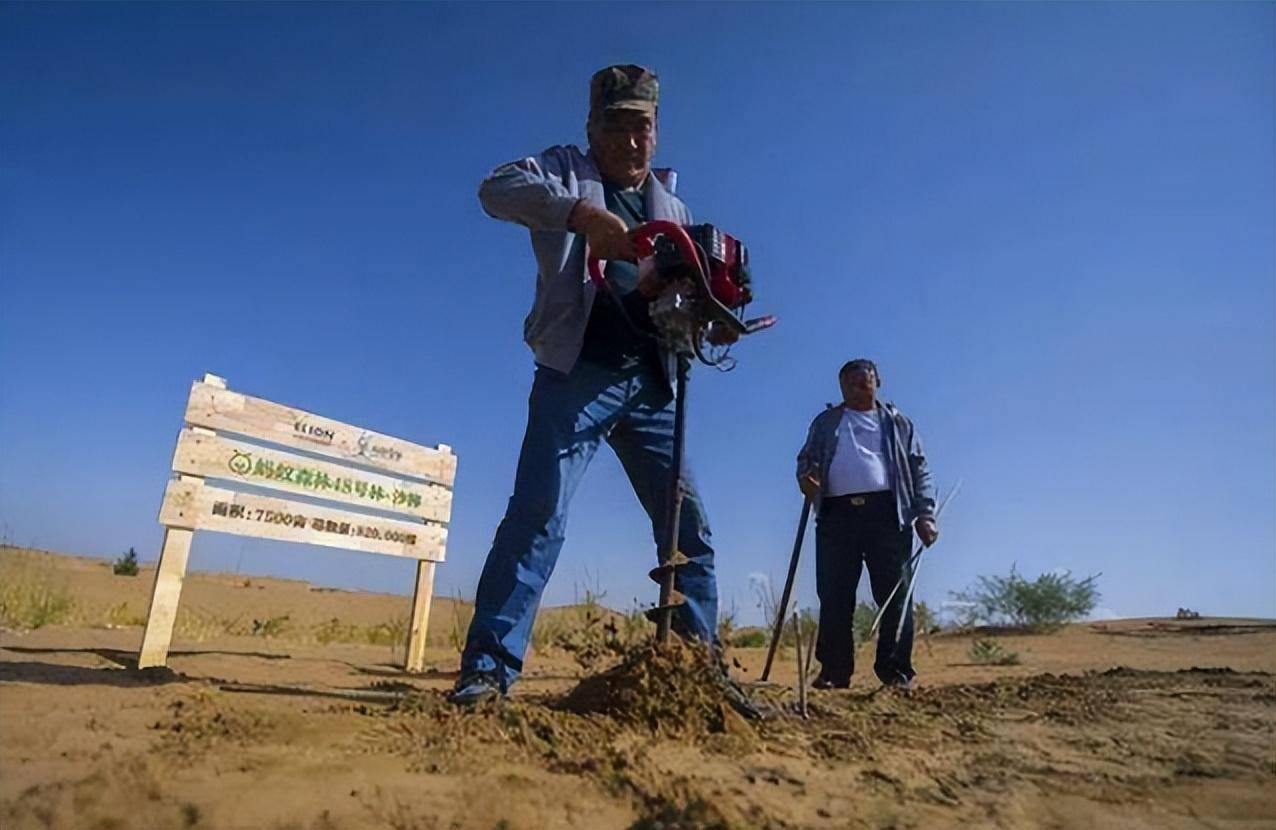 2016年马云斥巨资打造蚂蚁森林,承诺在沙漠种树,如今怎么样了?