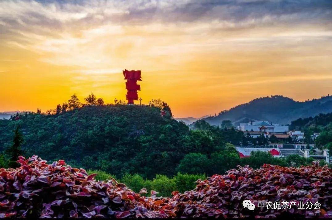 多彩茶乡丨河南新县:山水红城茶飘香_旅游_发展_茶文化