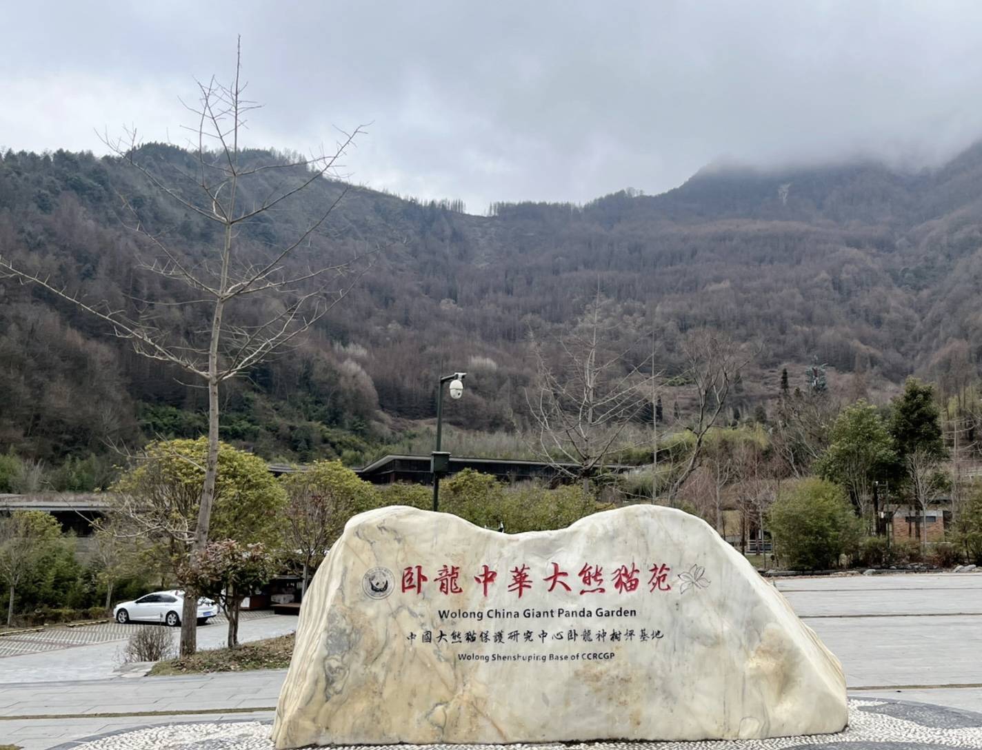 這個大熊貓基地算是最早時期的熊貓基地了,該基地成立於上世紀80年代