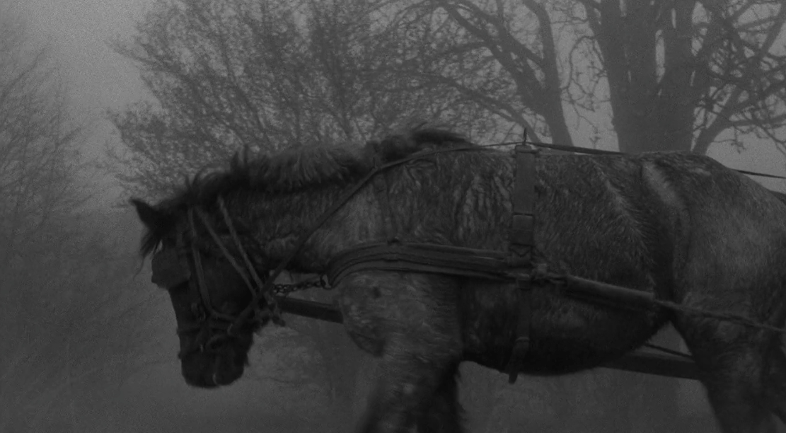 都灵之马:奇幻世界中的象征意义与视觉魅力_电影_主人公_冒险