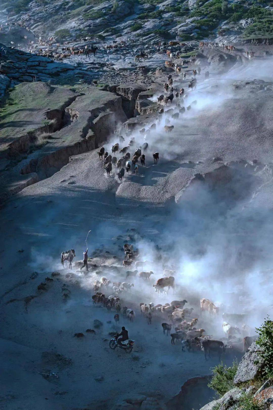 《牧归》| 徐勇 (上海市)作为2023上海市民文化节主题活动之一第13届