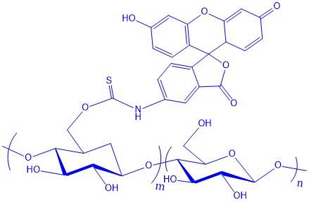 右旋糖酐葡聚糖衍生物fluorescein-dextran_fitc-dextran_支链_分子量