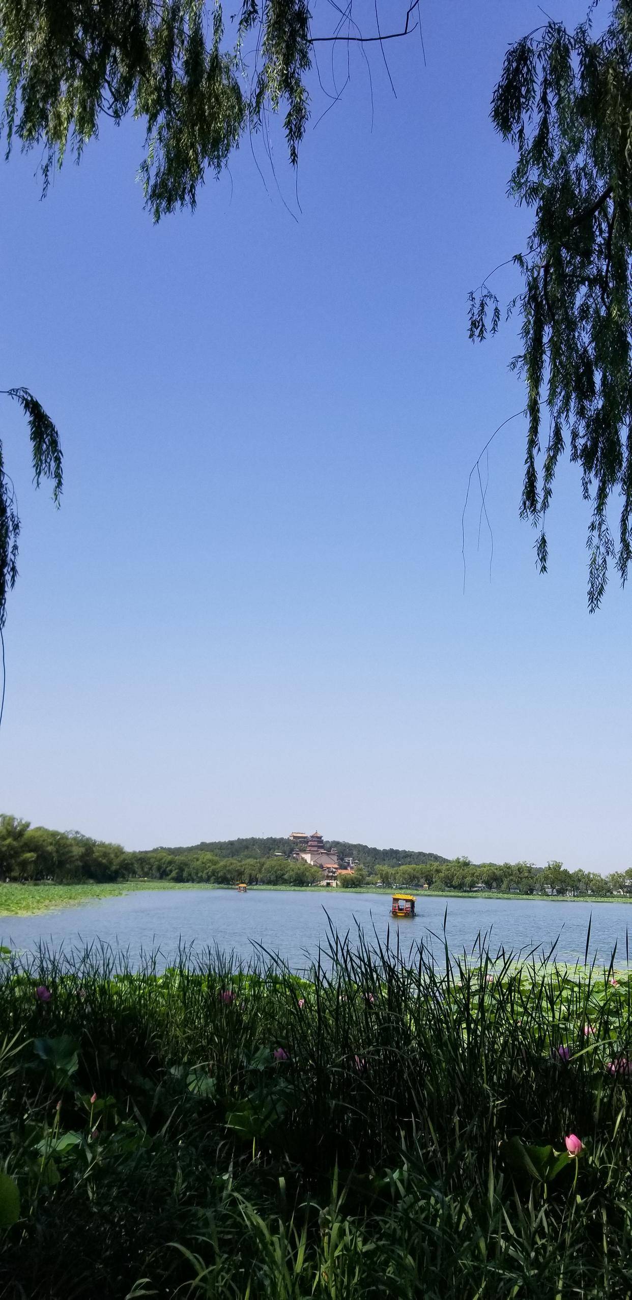 北京昆明湖的风景介绍图片