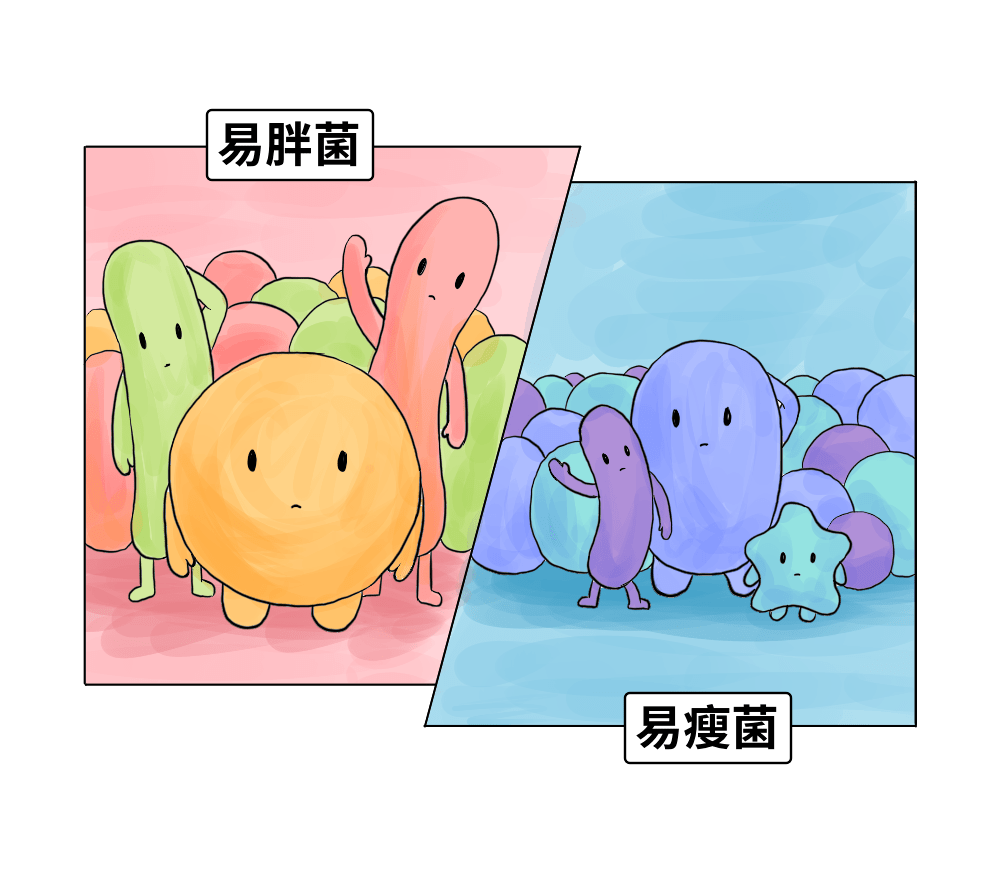 瘦不下来不怪你,可能是肠道菌群出了问题_移植_治疗_食物