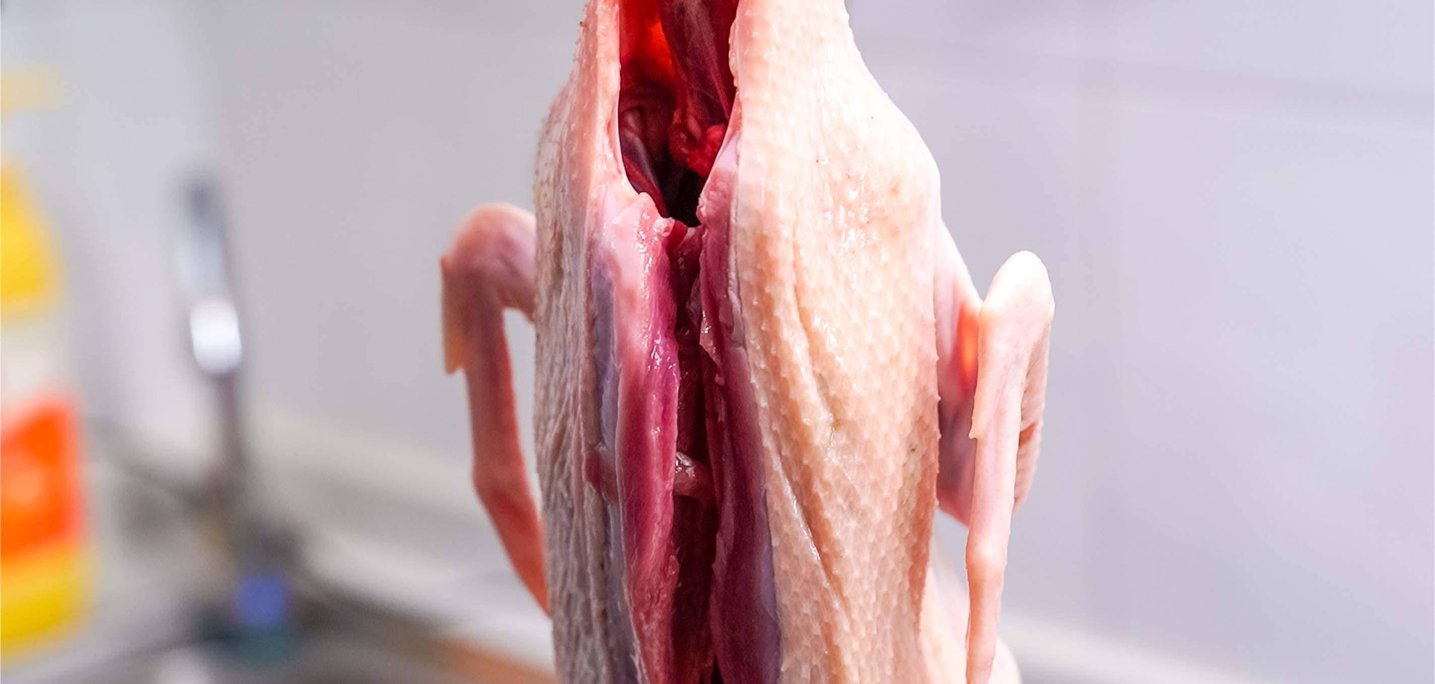 紧实好吃,当然菜市场能买到现杀得最好,如果没有的话我们可以白条鸭