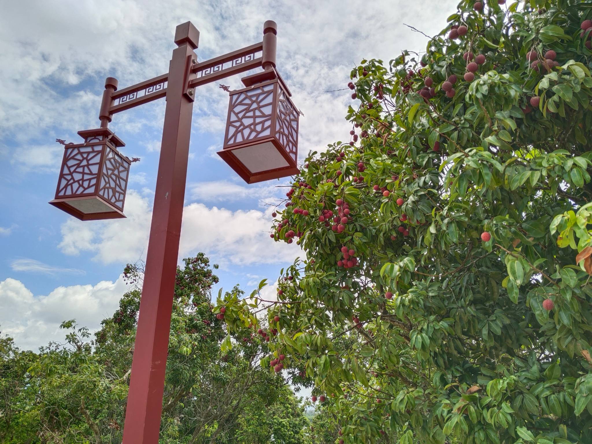 "七个一"建立美丽新桥冲_建设_桥冲镇_大塘村