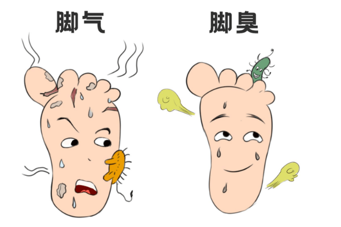 有了脚气要注意什么?怎么才能尽快好起来_传播_消毒_其他