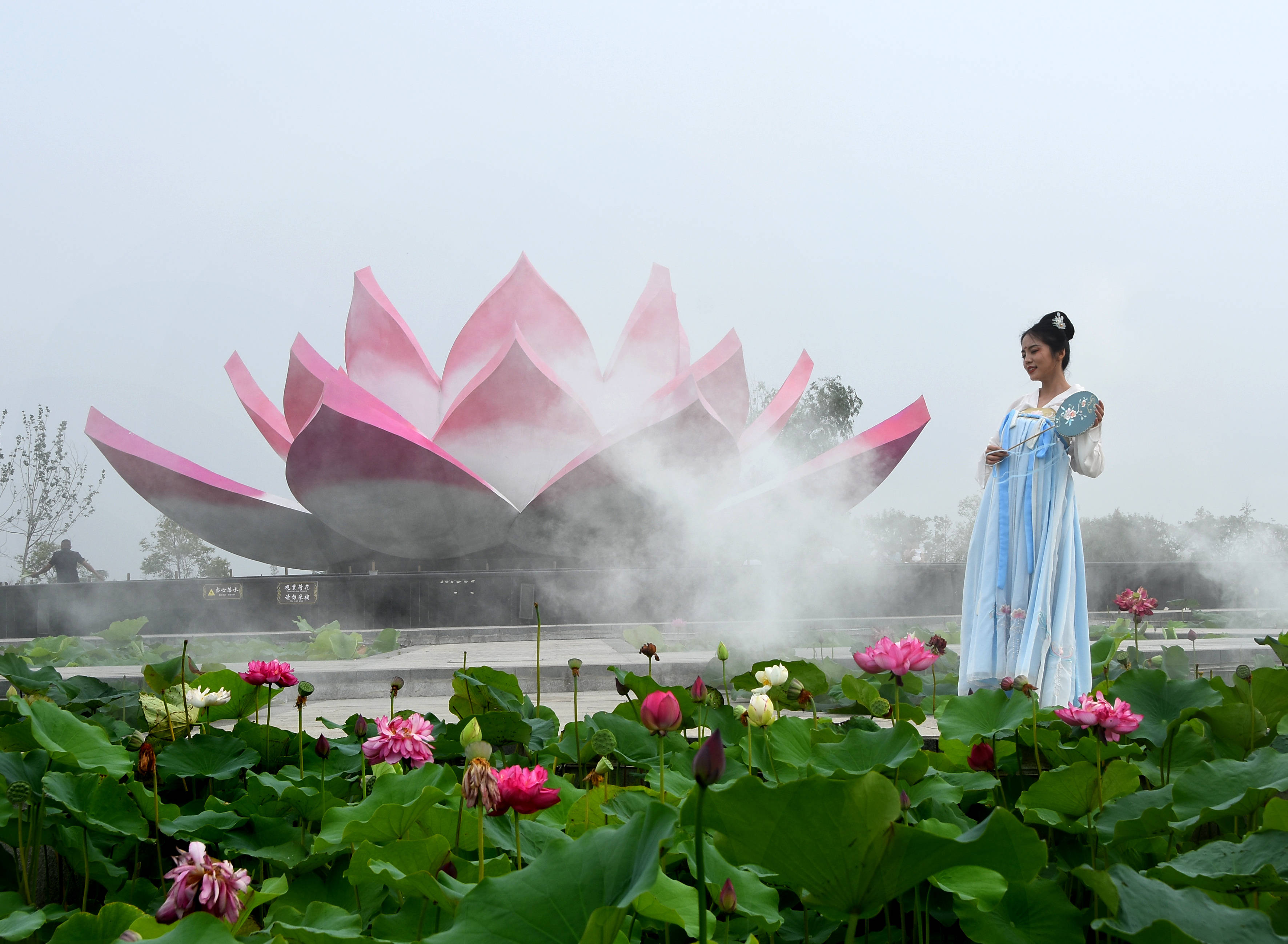 1000元, 凡进入决赛人员报销比赛期间往返路费,一年内来淮游玩,免太昊